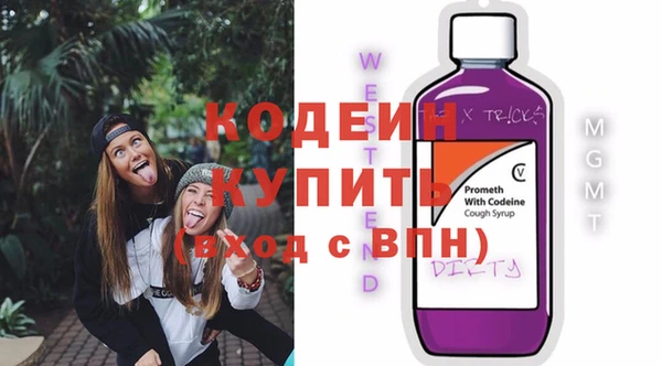 сатива Верея