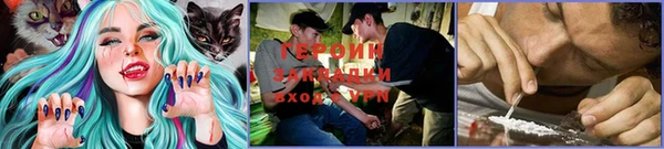сатива Верея
