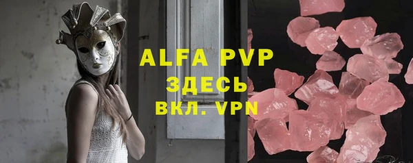 сатива Верея