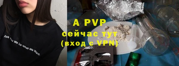 прущие грибы Верхнеуральск