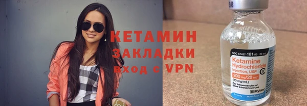сатива Верея