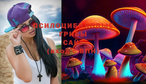 прущие грибы Верхнеуральск