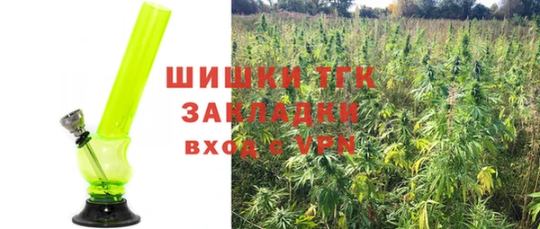 сатива Верея