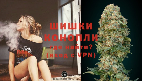 прущие грибы Верхнеуральск