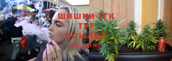 прущие грибы Верхнеуральск