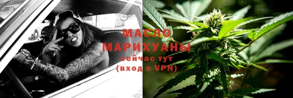 сатива Верея