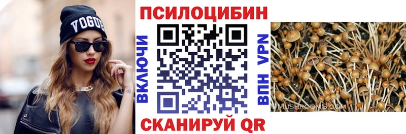 Купить где  Осташков  Псилоцибиновые грибы Magic Shrooms 